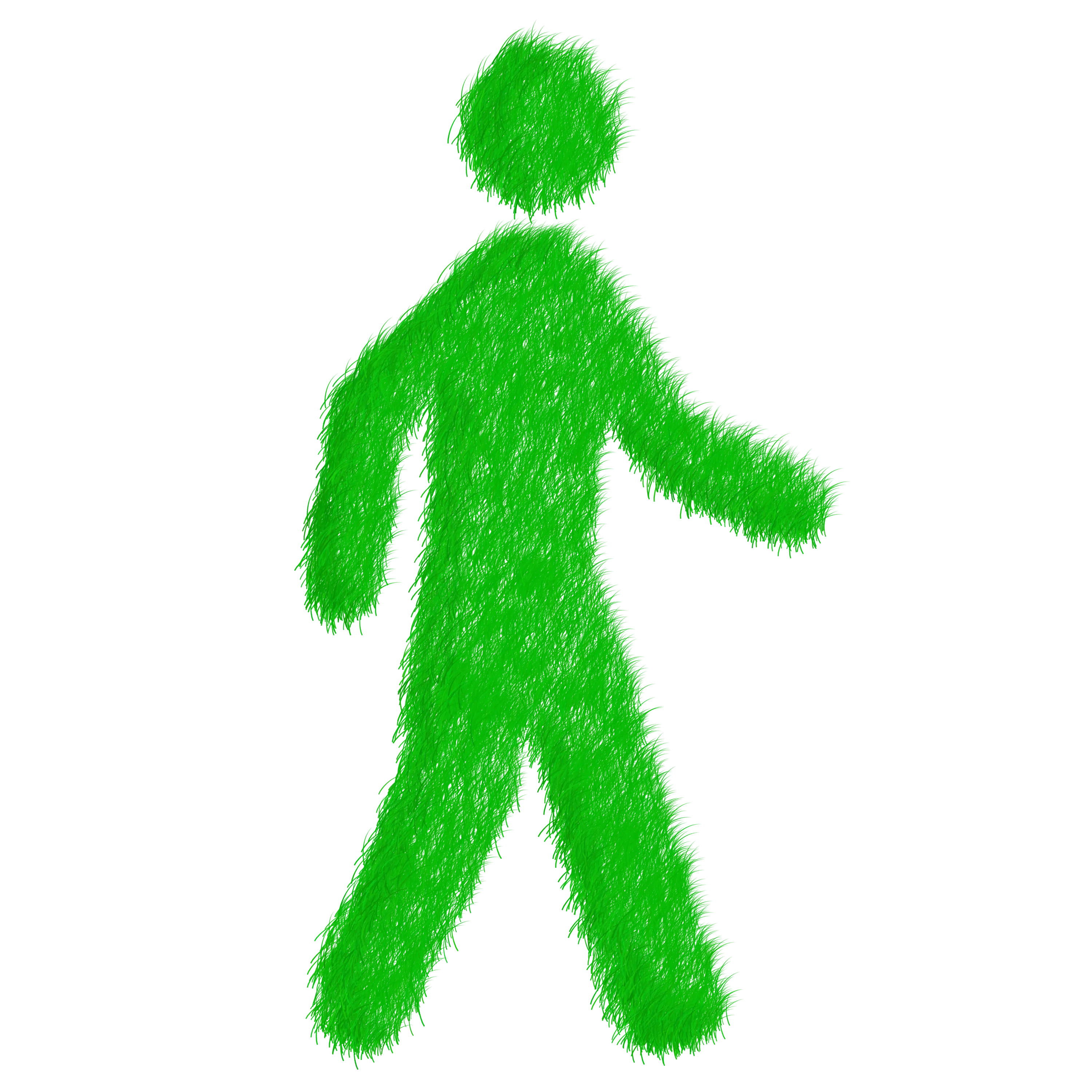 Echo, Environmentally Sustainable, Ecology, Green, Grass, Lawn, Blade Of Grass, Omino, Stick Man, Little Man Walking, Walk, Direction, Person, Nature